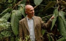 Tributes paid to man killed by falling tree in Storm Boelo Tributes paid to man killed by falling tree in Storm Boelo